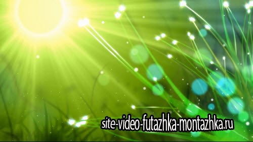 футаж - Fairy - Summer HD