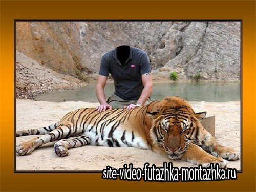 Шаблон psd - Парень с большим тигром