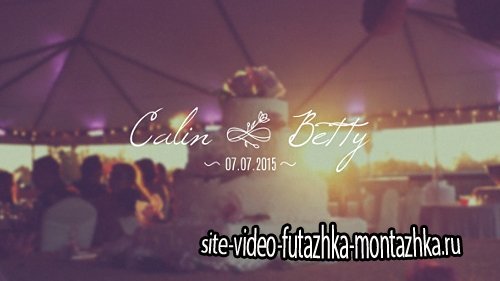 30 Wedding Titles - Project for After Effects (Videohive)