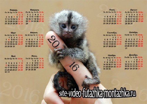 Календарная сетка - Милая обезьянка