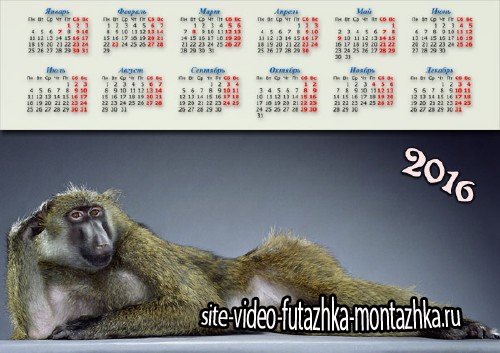 Календарь настенный - Модная обезьянка