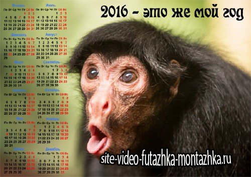 Календарь 2016 - Год обезьяны