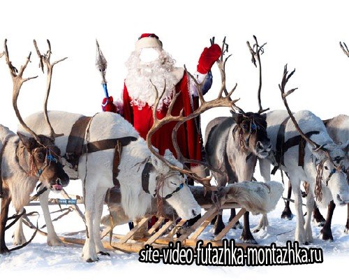 Шаблон для фото - Дед Мороз с оленями