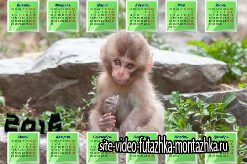 Маленькая обезьянка на камне - Настенный календарь