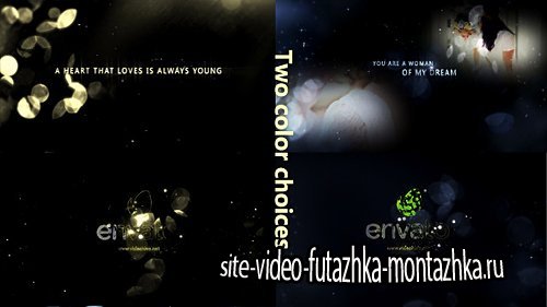 Gold Particle and Memories Typography - Project for After Effects (Videohive)