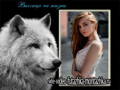 Рамка для фото - Красивая волчица