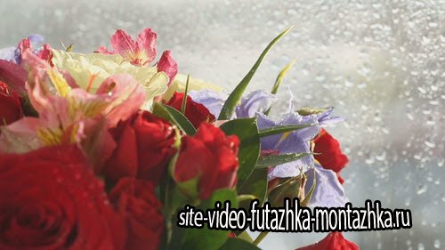 футаж-Beautiful bouquet roses