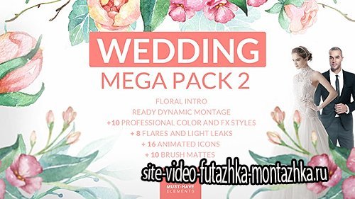Wedding Mega Pack 2 - Project for After Effects (Videohive)