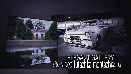 Elegant Gallery 17057721 - Project for After Effects (Videohive)
