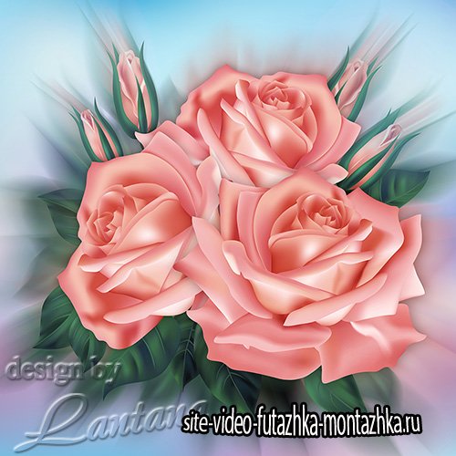 PSD исходник - Букет прекрасных роз