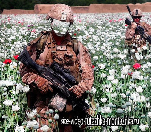 Фотошаблон для фотошопа - Солдаты на маковом поле