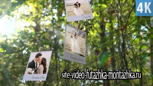 Photo Memories on Trees - Project for After Effects (Videohive)