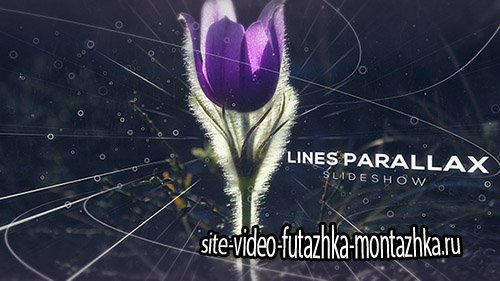 Lines Parallax Slideshow - Project for After Effects (Videohive)