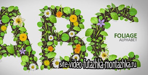 Foliage Alphabet - Project for After Effects (Videohive)