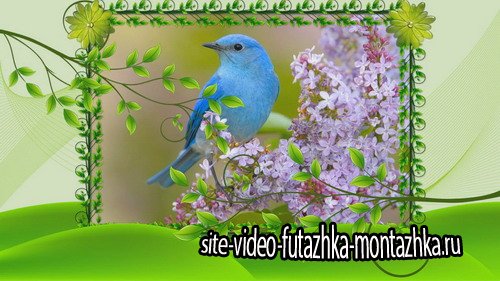 Проект ProShow Producer - Waiting for Spring