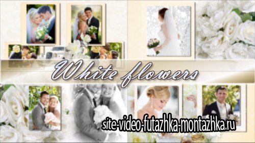 White flowers - project for ProShow Producer