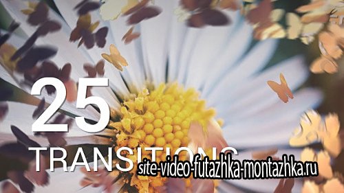 Butterflies Transitions - Project for After Effects (Videohive)